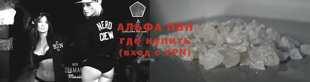 альфа пвп Новодвинск
