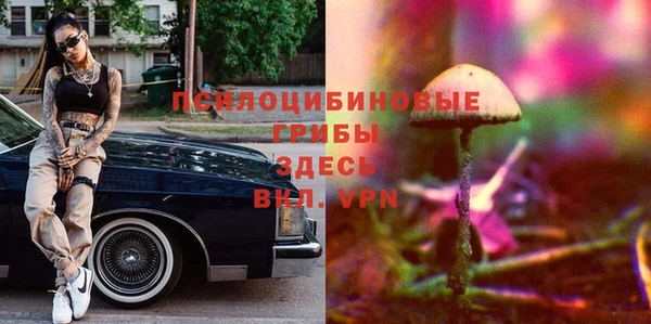 мяу мяу мука Абинск