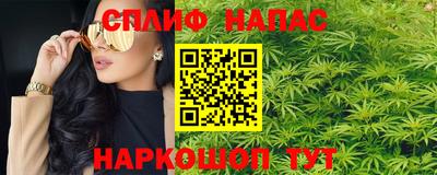 стафф Славгород